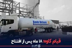 تعطیلی یک تولیدکننده بزرگ در اعتراض به افزایش قیمت‌ خوراک پتروشیمی