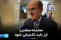نماینده مجلس: ارز باید تک‌نرخی شود