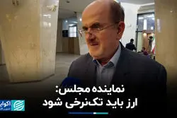 نماینده مجلس: ارز باید تک‌نرخی شود