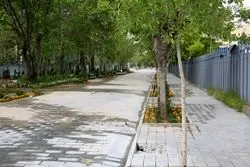 عقب‌گرد تهران به 70 سال قبل؛ ستیز شهرداری با عابران پیاده