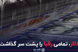 دلار؛ تمامی رقبا را پشت سر گذاشت