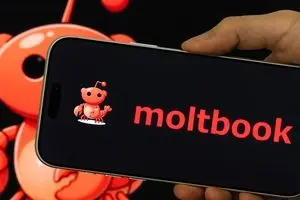  انسان هستید، وارد نشوید
