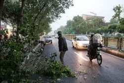 هشدار هواشناسی برای ۱۲ استان؛ باد شدید در راه است