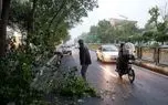 هشدار هواشناسی برای ۱۲ استان؛ باد شدید در راه است