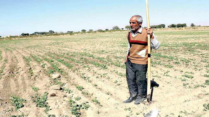 دلسردی شاغلان از کشاورزی در گرمای تابستان