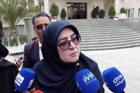 ایران با آمریکا مذاکره می کند؟/ پاسخ مهاجرانی