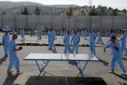 راه اندازی یاورشهر ویژه دختران و پسران زیر 25 سال 