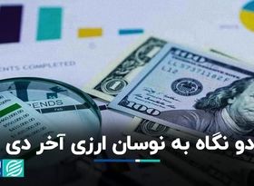 دو نگاه به نوسان ارزی آخر دی