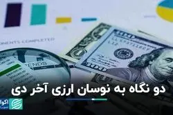 دو نگاه به نوسان ارزی آخر دی