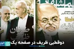 دوقطبی ظریف در رسانه‌ها