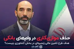 حذف موازی کاری در وام های بانکی