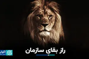 راز بقای سازمان
