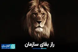راز بقای سازمان
