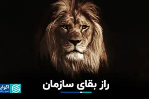 راز بقای سازمان
