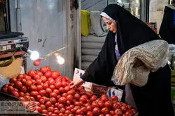 گوجه فرنگی گران شد؟/ قیمت‌های جدید گوجه فرنگی، پیاز و سیب‌زمینی