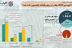 تخصیص ارز وارداتی در 1404 بالا رفت