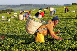 مقایسه درآمد روزانه ثروتمندترین و فقیرترین افراد در جهان/ میزان درآمد 10 درصد ثروتمندان آمریکایی چقدر است؟