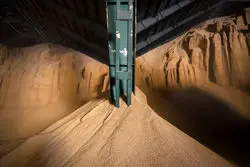 خوراک دام یک سوم از درآمد نفتی کشور را می‌بلعد