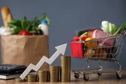 ۱۲ کالای اساسی با قیمت ثابت؛ سهمیه خانوار چگونه محاسبه می‌شود؟