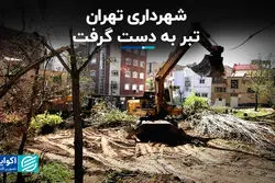 شهرداری تهران تبر به دست گرفت