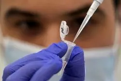 علائم سویه جدید کرونا / اریس خطرناک است؟