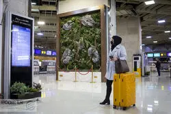 الزام دولت به تسهیل بازگشت نخبگان ایرانی مقیم خارج به کشور