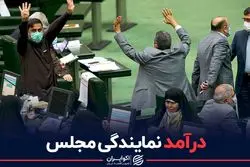 درآمد نمایندگی مجلس