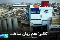 «کالبر» هم زیان ساخت