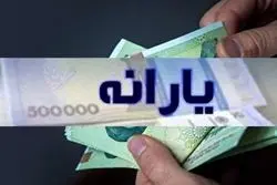 تمام واریزی های دولت در دی ماه + جزئیات