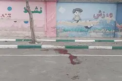 اعلام آخرین آمار دانش‌آموزان و معلمان شهید و مجروح در کشور 