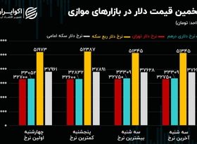 ماشه بازار ارز کشیده می شود؟