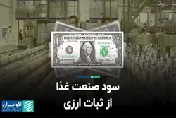 سود صنعت غذا از ثبات قیمت ارز