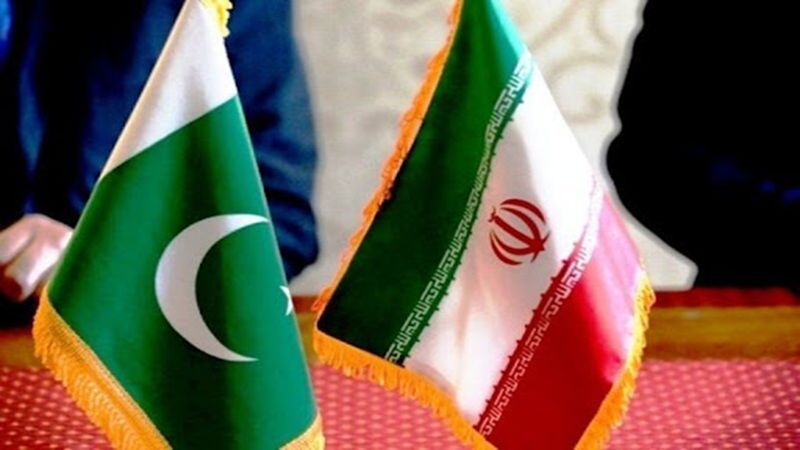 همکاری کشاورزی ایران و پاکستان؛ تمرکز بر امنیت غذایی و تبادل فناوری