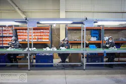 بهترین سال‌های بازار کار در ایران