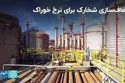شفاف‌سازی یک پتروشیمی درباره نرخ خوراک