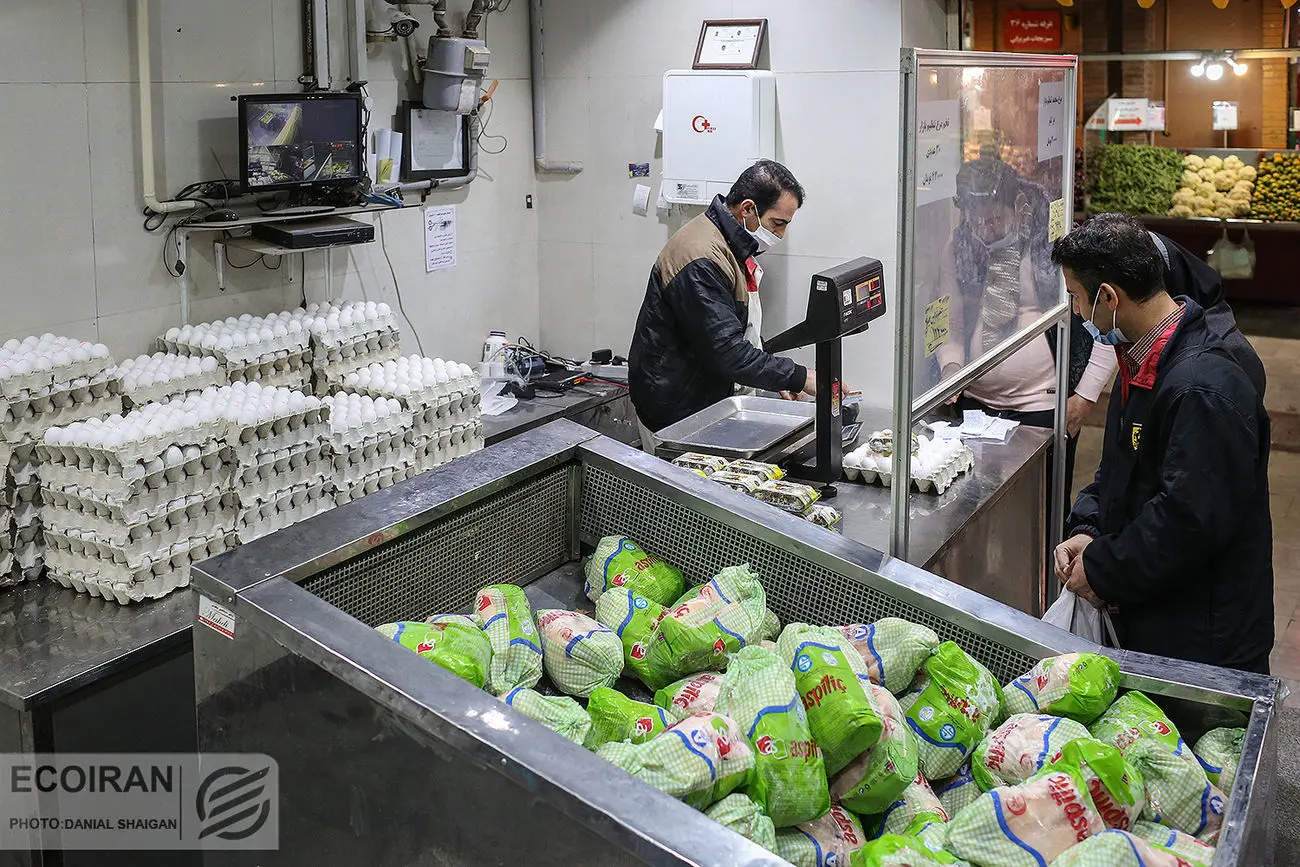 کاهش 80 درصدی واردات مرغ در بهار 1402 + نمودار