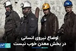 اوضاع نیروی انسانی در بخش معدن خوب نیست