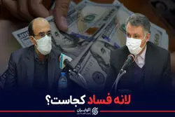 لانه فساد کجاست ؟ / آیا «فساد» حذف‌شدنی نیست ؟