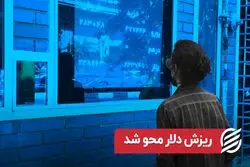 ریزش دلار محو شد