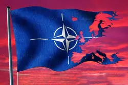 شکاف بزرگ متحدان آتلانتیکی؛ ناتو آماده برخورد سخت با تحریکات پوتین می‌شود؟