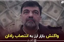 واکنش بازار ارز به انتصاب رادان