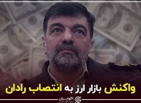 واکنش بازار ارز به انتصاب رادان