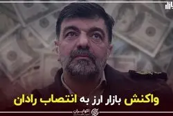 واکنش بازار ارز به انتصاب رادان