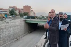 زنگ خطر بزرگراه آزادگان به صدا در آمده است

