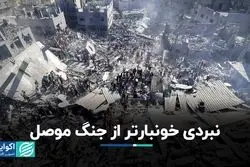 غزه از موصل خونبارتر می‌شود