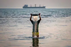 بالا و پایین سهم نفت از اقتصاد ایران در 14 سال