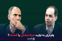 وام ارزان به تولید، حیات‌بخش یا کشنده؟ 