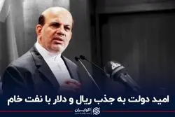 امید دولت به جذب ریال و دلار با نفت خام