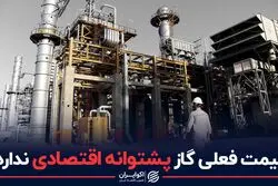 قیمت فعلی گاز پشتوانه اقتصادی ندارد!