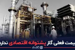 قیمت فعلی گاز پشتوانه اقتصادی ندارد!